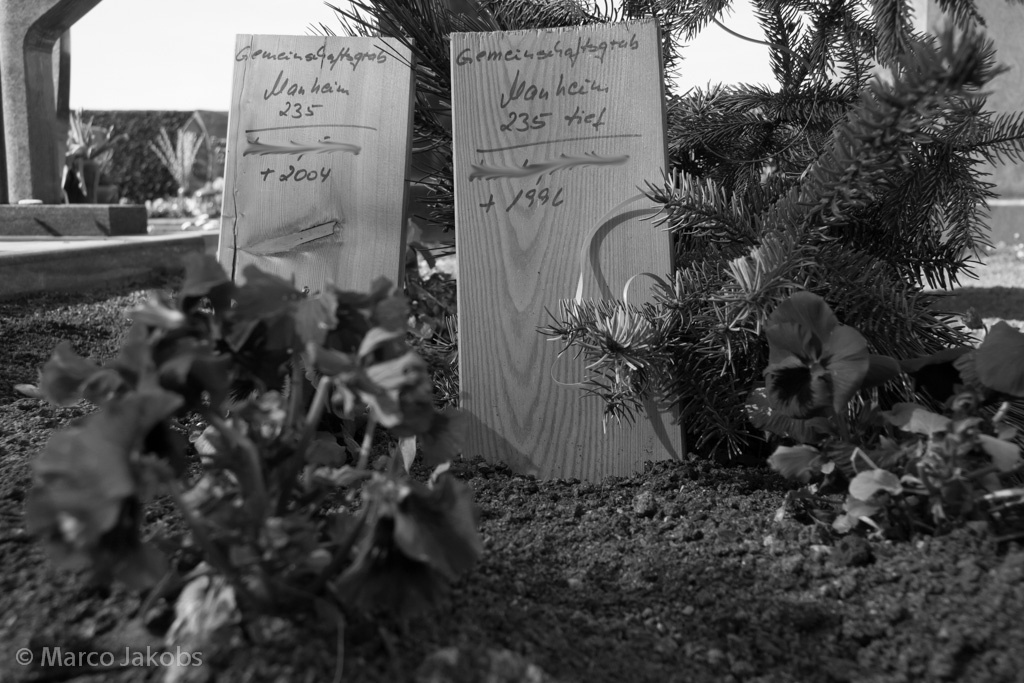 Friedhof und Umbettung 2014